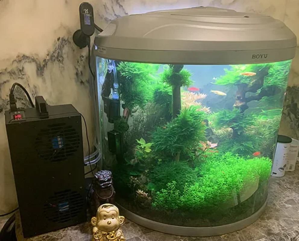 Aquarium Fish Small - 상온 조절 가능 반도체 냉장고 소형