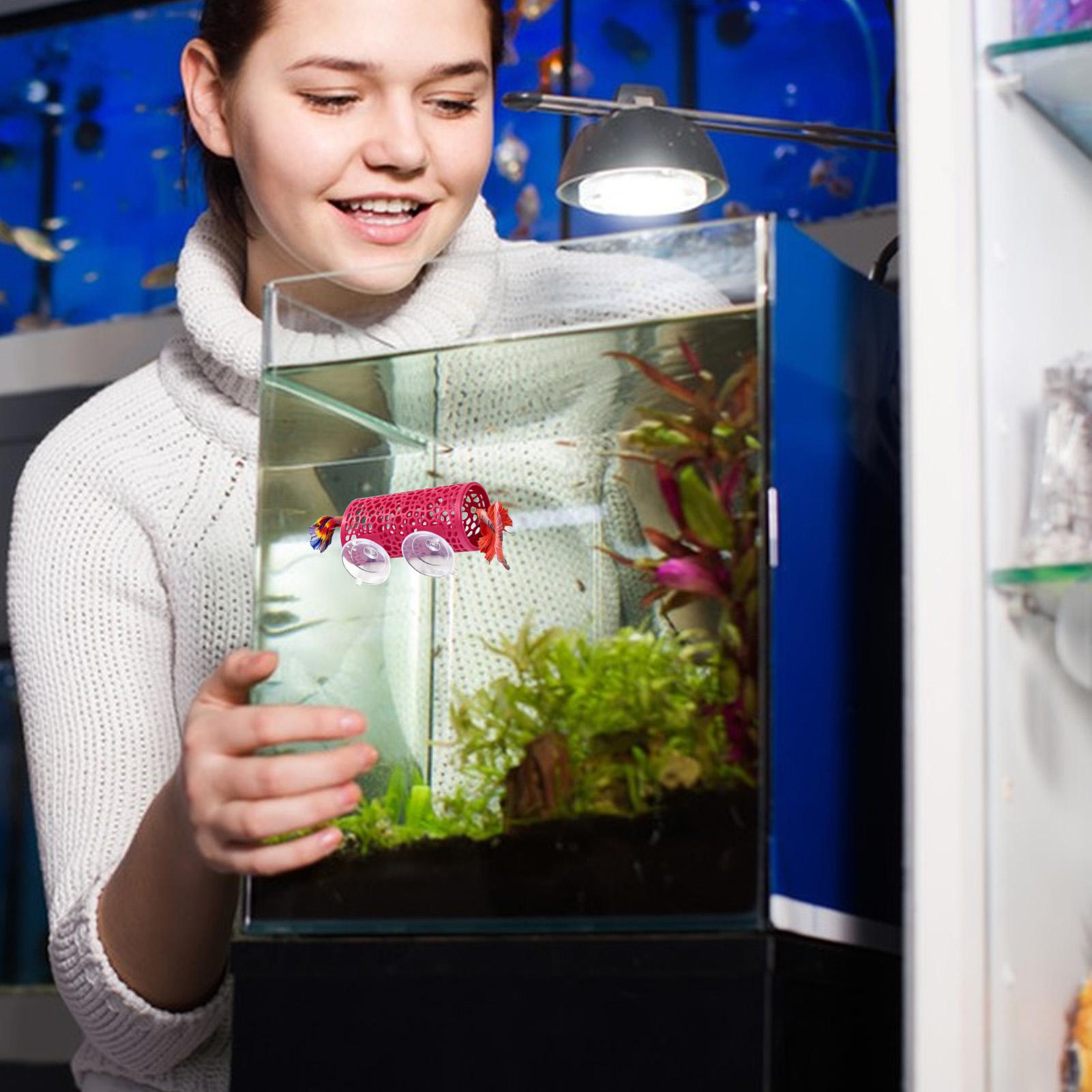 Aquarium Fish Small - 베타 생태 환경 휴식처 장식품 물고기