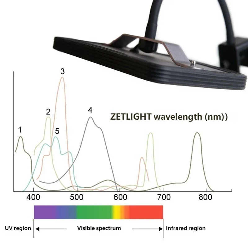 Refugium Light Nano - 핫 ZETLIGHT E2 WiFi 해양 수족관