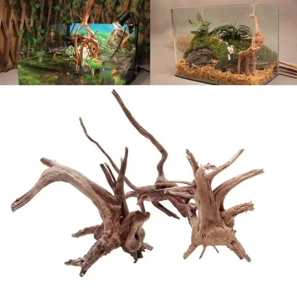 Aquarium Fish Gallery - 15-20CM 천연 유목 수족관 장식 -