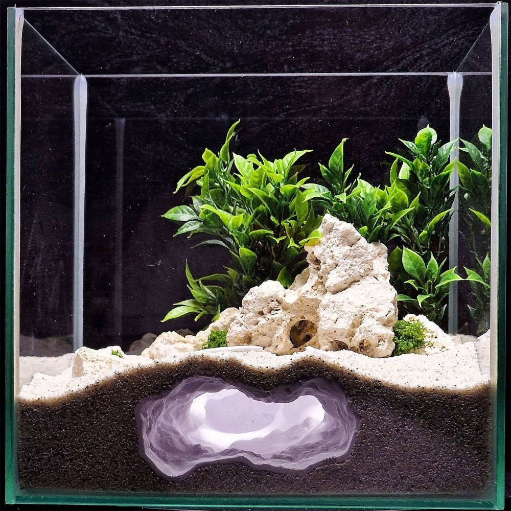 Aquarium Fish Hideout - 고도로 시뮬레이션된 수족관 어항 자연 3D