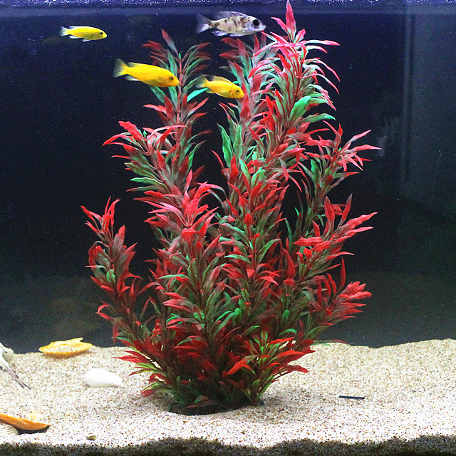 Aquarium Fish Gallery - 50CM 인조 어항 희귀 식물 수족관