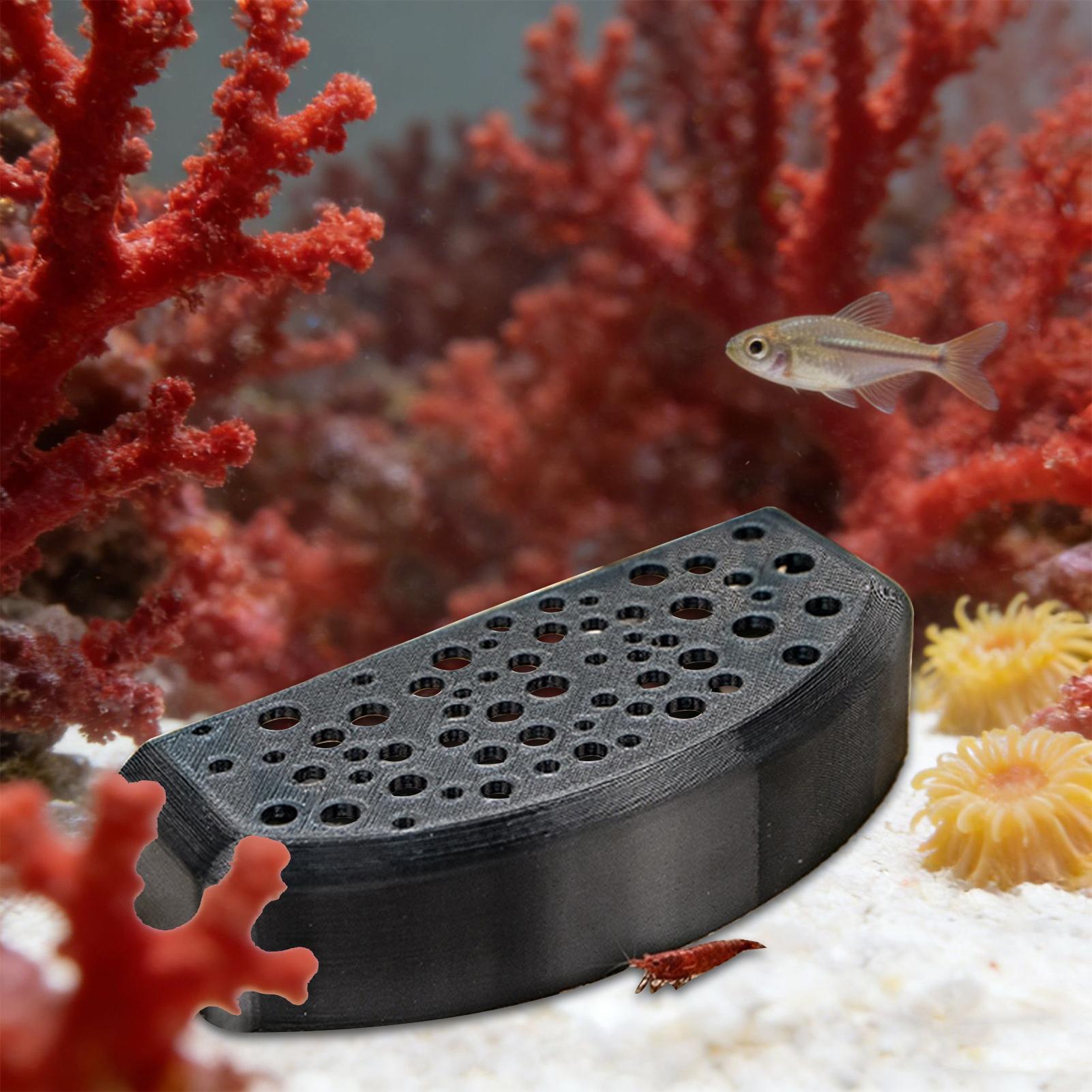 수생 애완동물 휴식 장식품 다중 구멍 번식 쉼터, 담수 - Aquarium Fish Zone 리뷰 및 가격