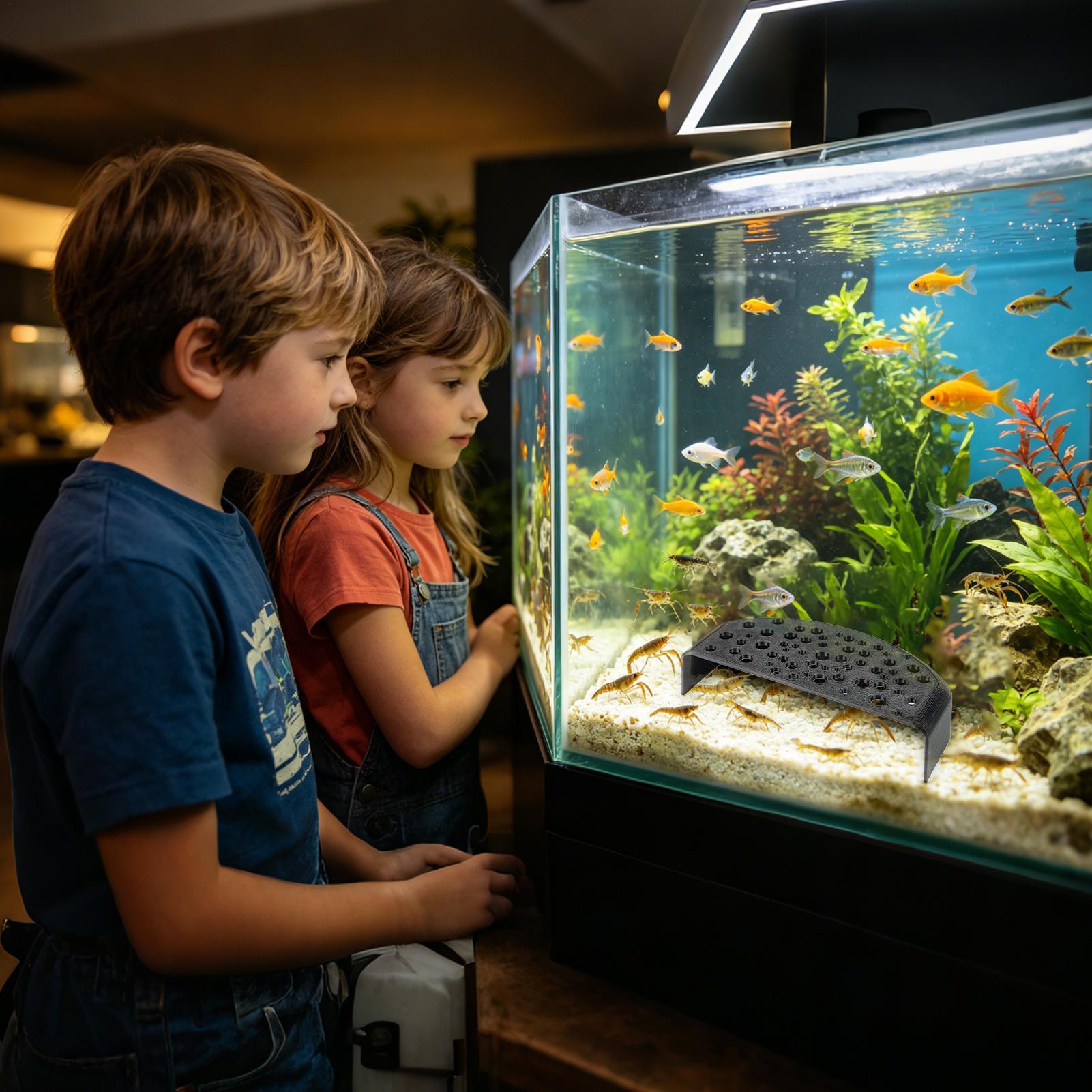 수생 애완동물 휴식 장식품 다중 구멍 번식 쉼터, 담수 - Aquarium Fish Zone 리뷰 및 가격