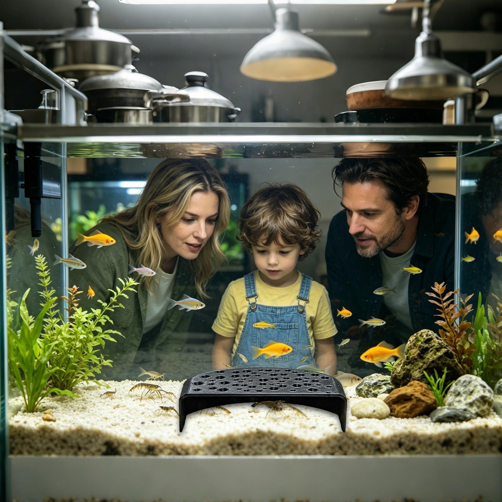 수생 애완동물 휴식 장식품 다중 구멍 번식 쉼터, 담수 - Aquarium Fish Zone 리뷰 및 가격
