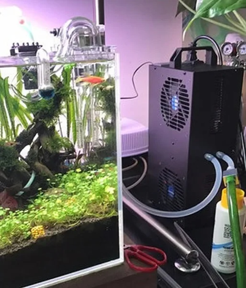 상온 조절 가능 반도체 냉장고 소형 냉각기 100L/1 - Aquarium Fish Small 리뷰 및 가격