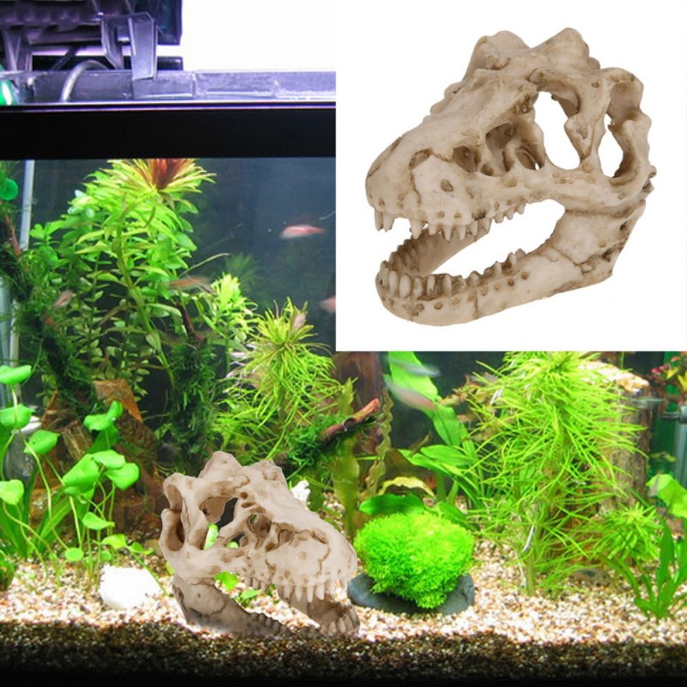크리 에이 티브 시뮬레이션 공룡 두개골 탈출 집 수족관 - Aquarium Fish Hideout 리뷰 및 가격