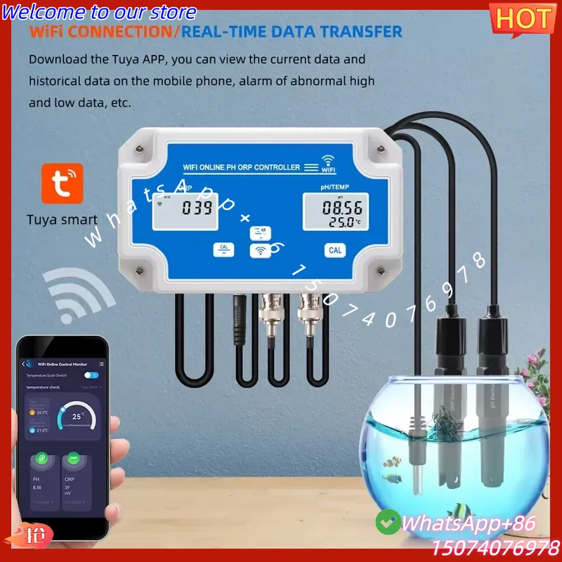 2026 무선 WiFi 온라인 제어 감지기 수족관 물고 - Aquarium Fish In Online 리뷰 및 가격