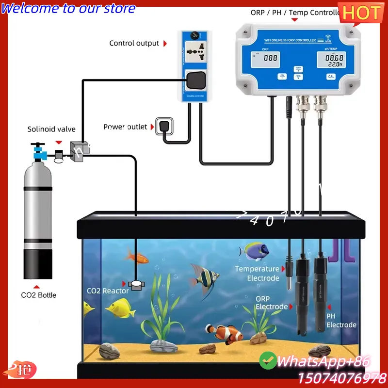 2026 무선 WiFi 온라인 제어 감지기 수족관 물고 - Aquarium Fish In Online 리뷰 및 가격