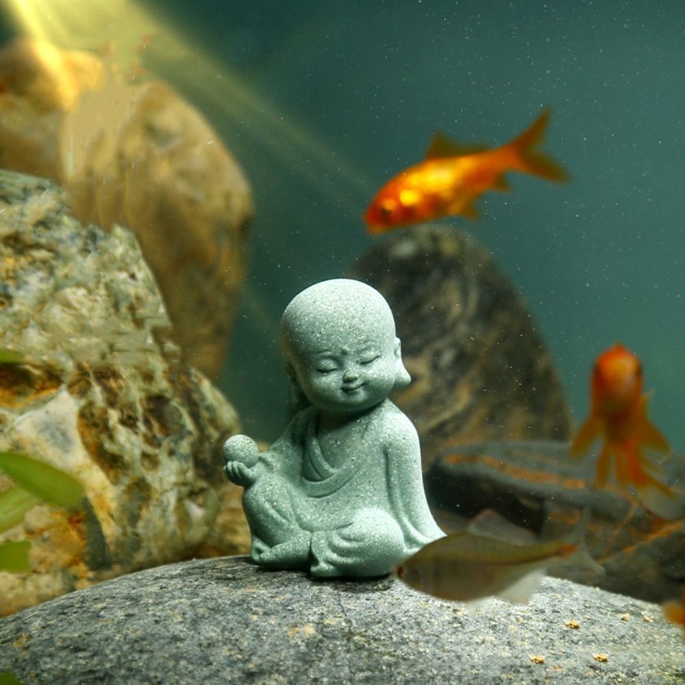 홈데코 사암 수족관 불상 귀엽고 실용적인 불상 미니 D - Aquarium Fish Small 리뷰 및 가격