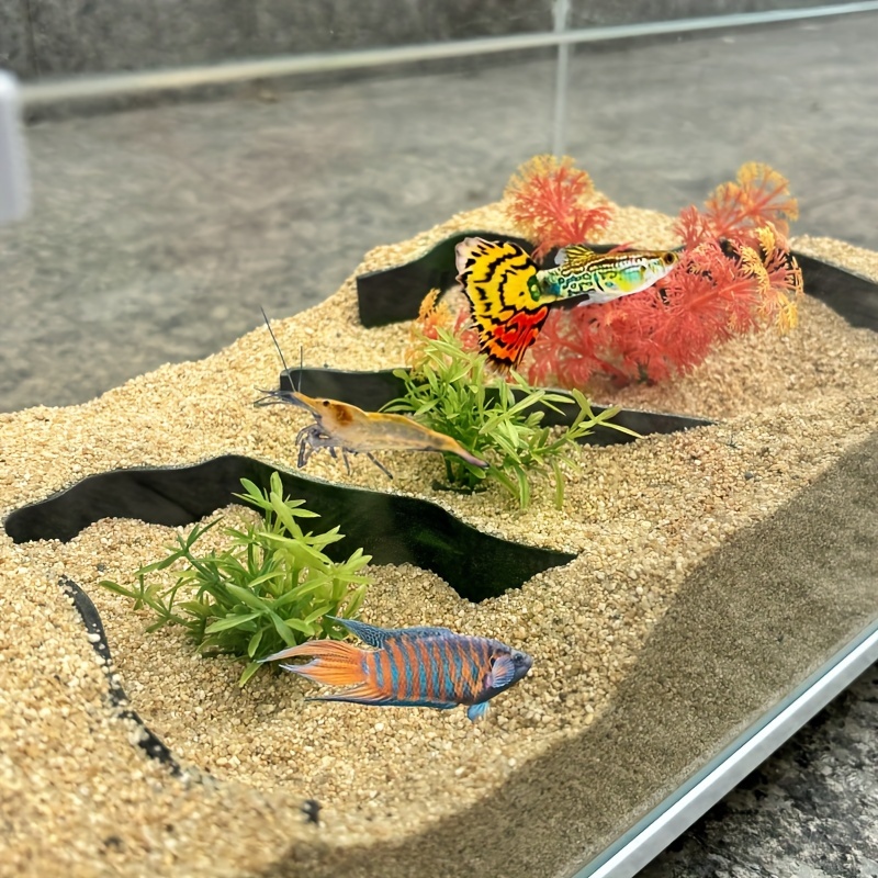 3피스 수족관 격리벽 |   물고기, 새우, 물고기 등 - Aquarium Fish Zone 리뷰 및 가격