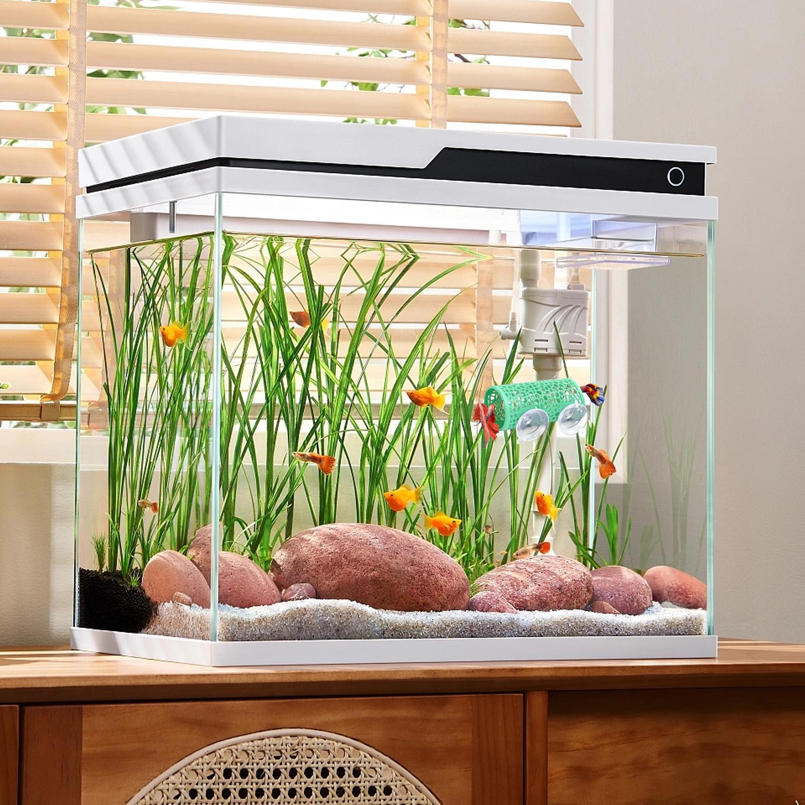 베타 생태 환경 휴식처 장식품 물고기 터널 장난감, 수 - Aquarium Fish Small 리뷰 및 가격