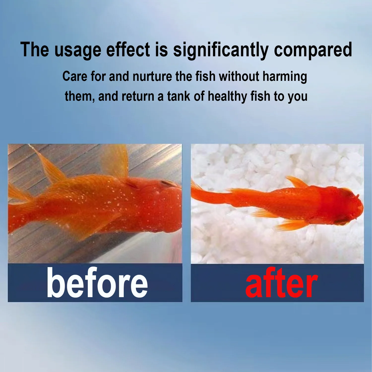 프리미엄 메틸렌 블루 어약 치료용 수족관 물질 조절제  - Aquarium Fish Medicine 리뷰 및 가격