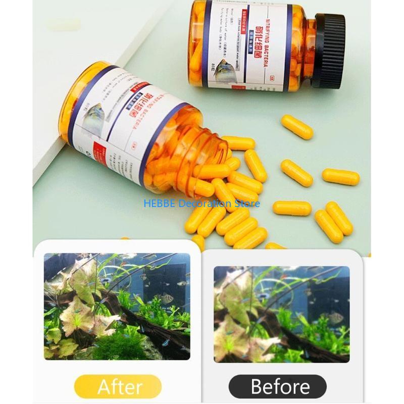 B0KC 30/80 PCS 탱크 수족관 농축 건조 분말 - Aquarium Fish Medicine 리뷰 및 가격