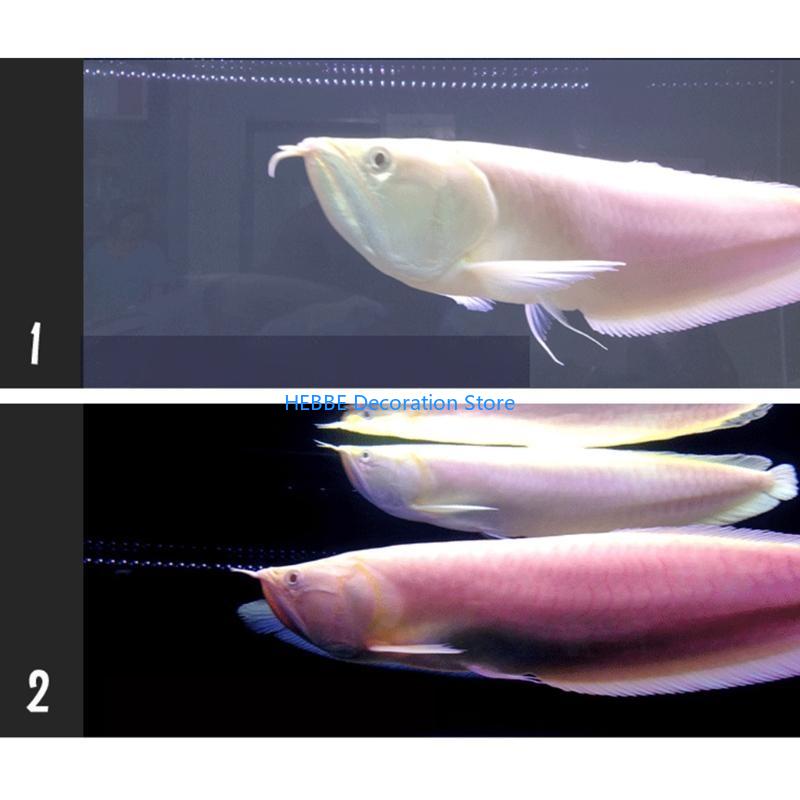 B0KC 30/80 PCS 탱크 수족관 농축 건조 분말 - Aquarium Fish Medicine 리뷰 및 가격