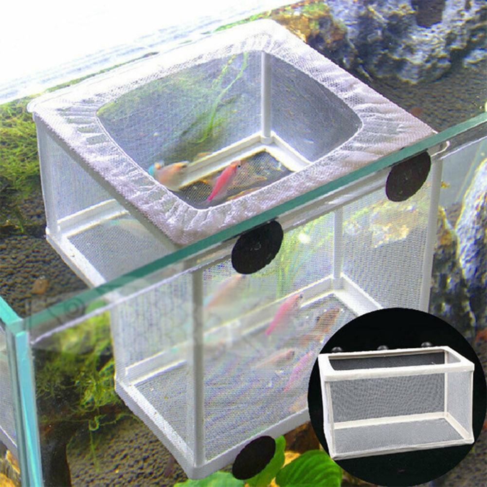 흡착컵이 있는 수족관 어류 번식 상자 - 흰색 플라스틱 - Aquarium Fish Medicine 리뷰 및 가격