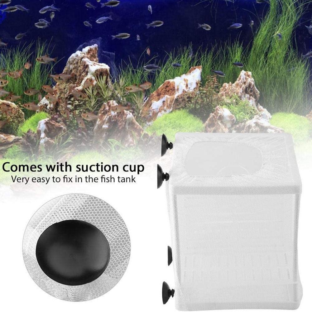 흡착컵이 있는 수족관 어류 번식 상자 - 흰색 플라스틱 - Aquarium Fish Medicine 리뷰 및 가격
