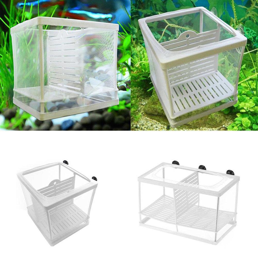 흡착컵이 있는 수족관 어류 번식 상자 - 흰색 플라스틱 - Aquarium Fish Medicine 리뷰 및 가격
