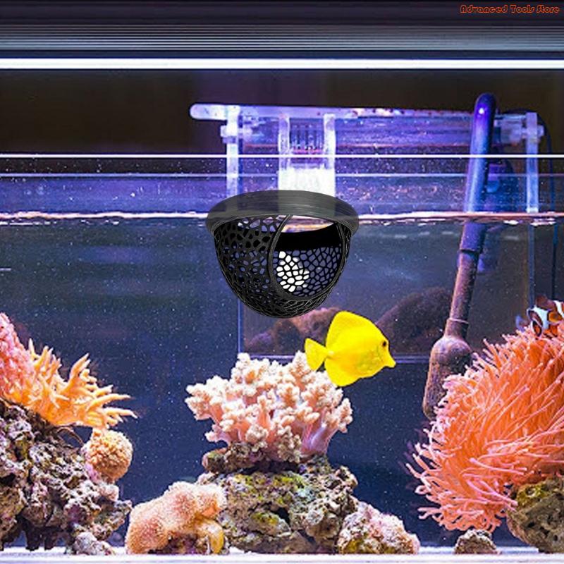 탱크 W91B의 자연 베타 환경을 모방한 물고기 안전  - Aquarium Fish Zone 리뷰 및 가격