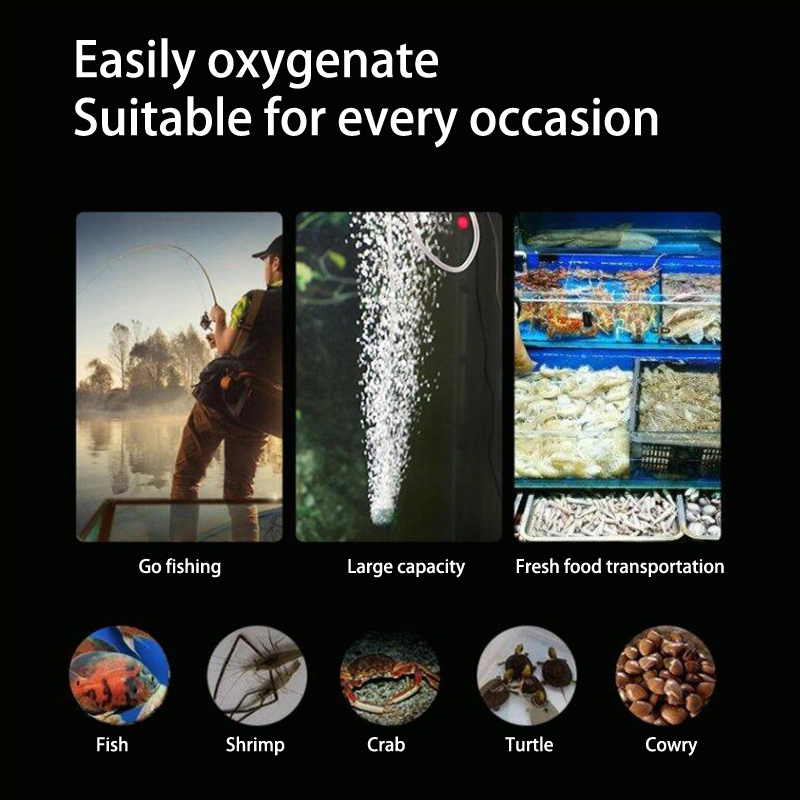 미니 수족관 에어 펌프 키트, 산소 펌프, USB 수족 - Aquarium Fish Small 리뷰 및 가격