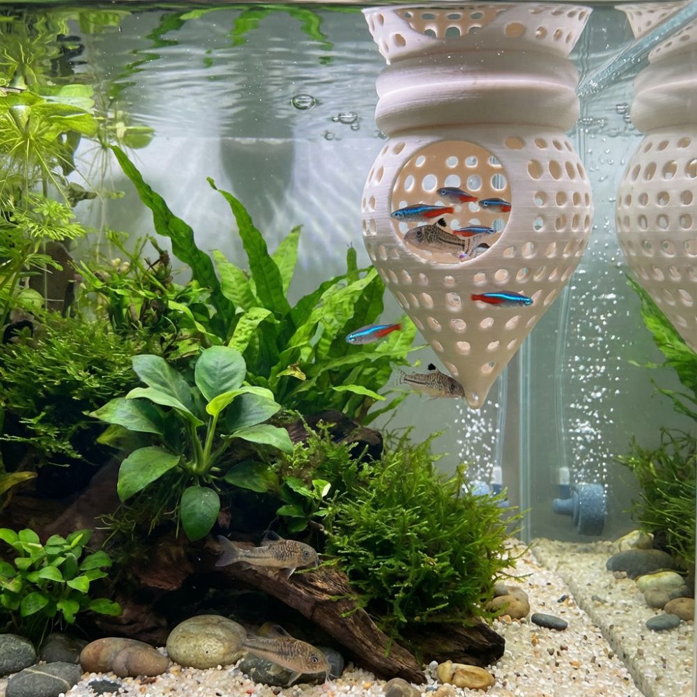 3D 프린팅된 물고기 해먹 은신처, 속이 빈 수족관 휴 - Aquarium Fish Hideout 리뷰 및 가격