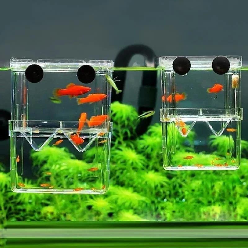 투명 물고기 수족관 높은 투명한 번식 격리 상자 애완  - Aquarium Fish Medicine 리뷰 및 가격