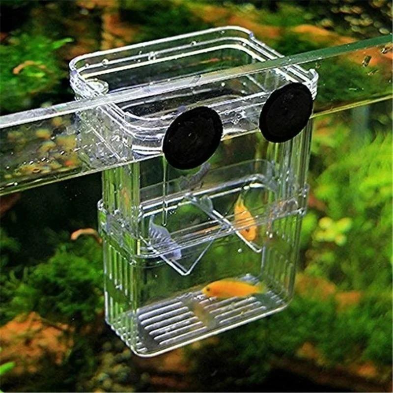 투명 물고기 수족관 높은 투명한 번식 격리 상자 애완  - Aquarium Fish Medicine 리뷰 및 가격