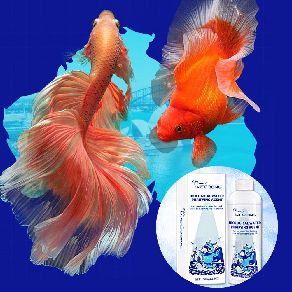 수족관 물 컨디셔너 효율적인 물 컨디셔너 및 청정기 수 - Aquarium Fish Medicine 리뷰 및 가격