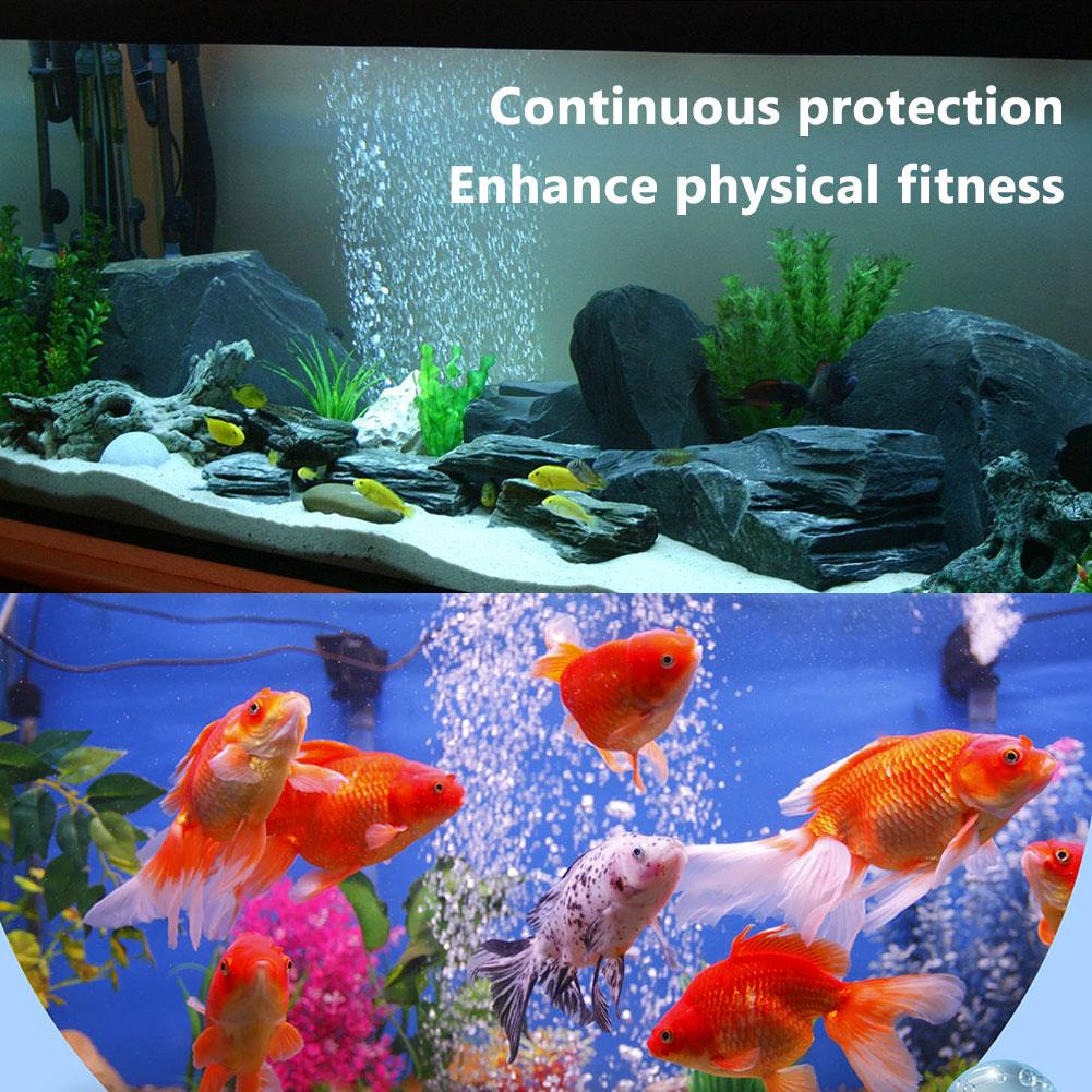 수족관 물 컨디셔너 효율적인 물 컨디셔너 및 청정기 수 - Aquarium Fish Medicine 리뷰 및 가격