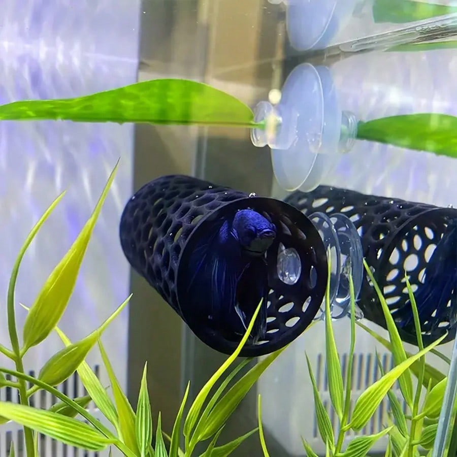 베타 물고기 은신처 속이 빈 튜브 장식품, 흡착판이 있 - Aquarium Fish Hideout 리뷰 및 가격