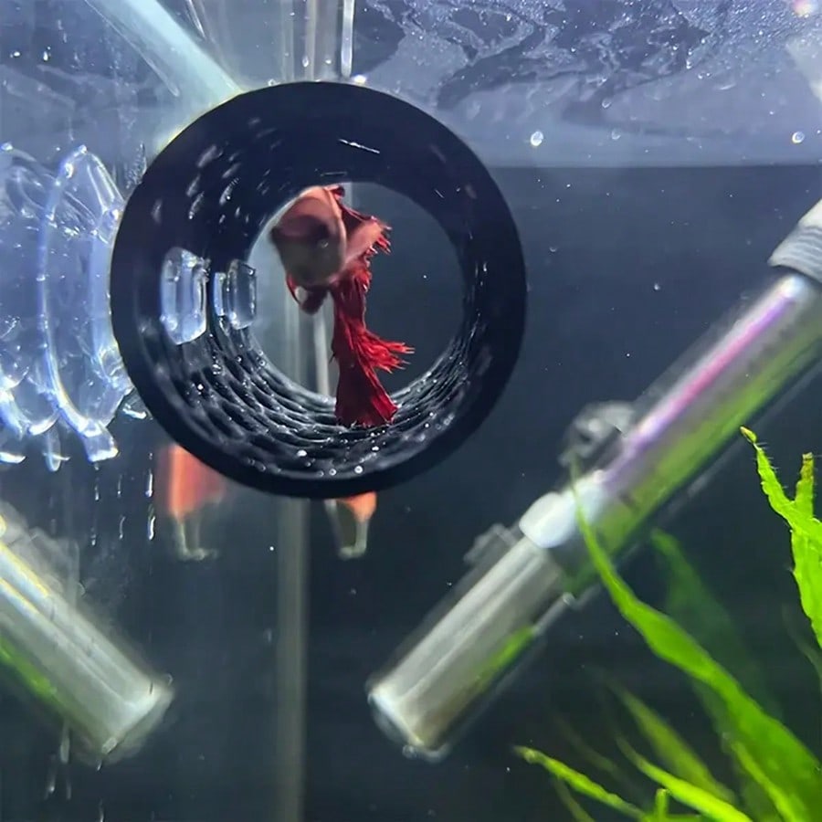베타 물고기 은신처 속이 빈 튜브 장식품, 흡착판이 있 - Aquarium Fish Hideout 리뷰 및 가격