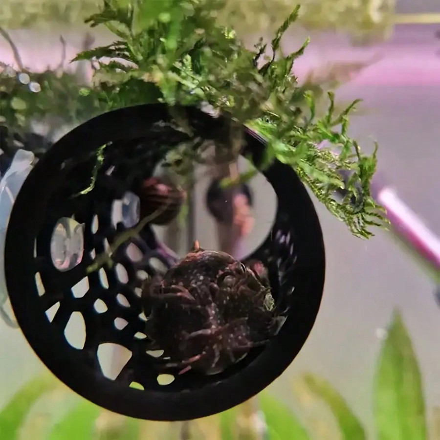 베타 물고기 은신처 속이 빈 튜브 장식품, 흡착판이 있 - Aquarium Fish Hideout 리뷰 및 가격