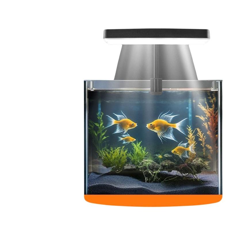 USB 수족관 클립 조명, 가정 사무실 데스크탑 어항  - Aquarium Fishes 리뷰 및 가격
