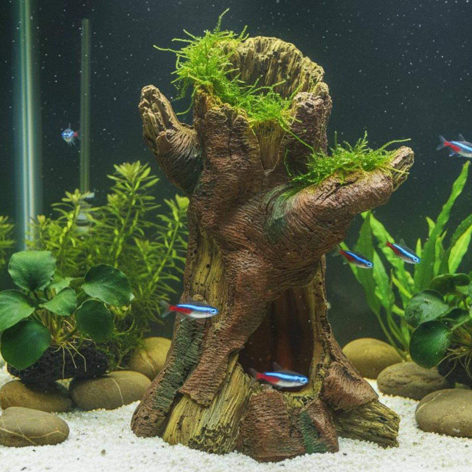 수족관 조경 장식 수족관 데코 레진 나무 줄기 쉼터 ( - Aquarium Fishes 리뷰 및 가격