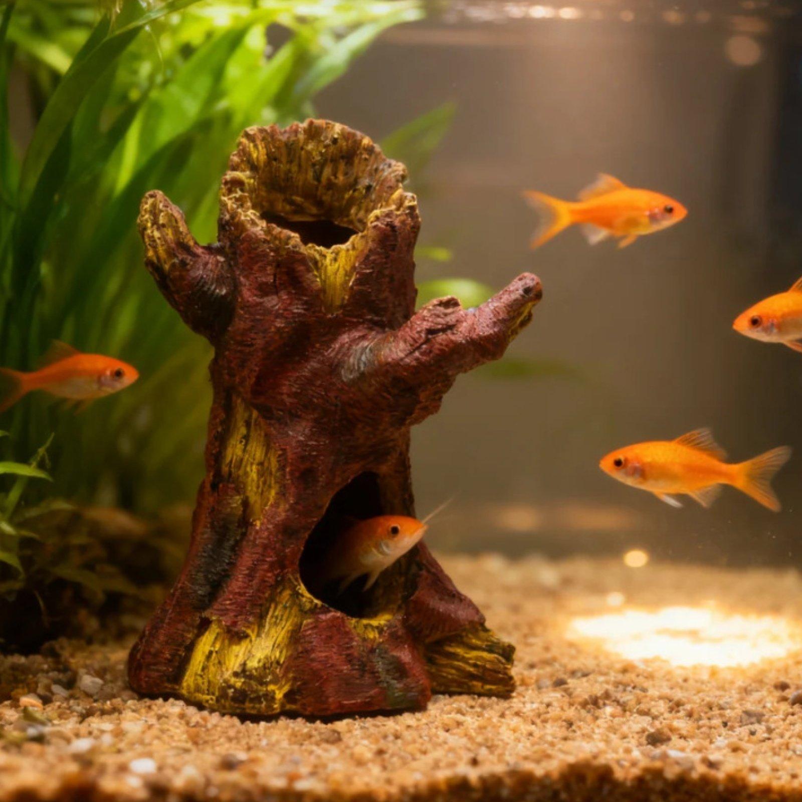 수족관 조경 장식 수족관 데코 레진 나무 줄기 쉼터 ( - Aquarium Fishes 리뷰 및 가격