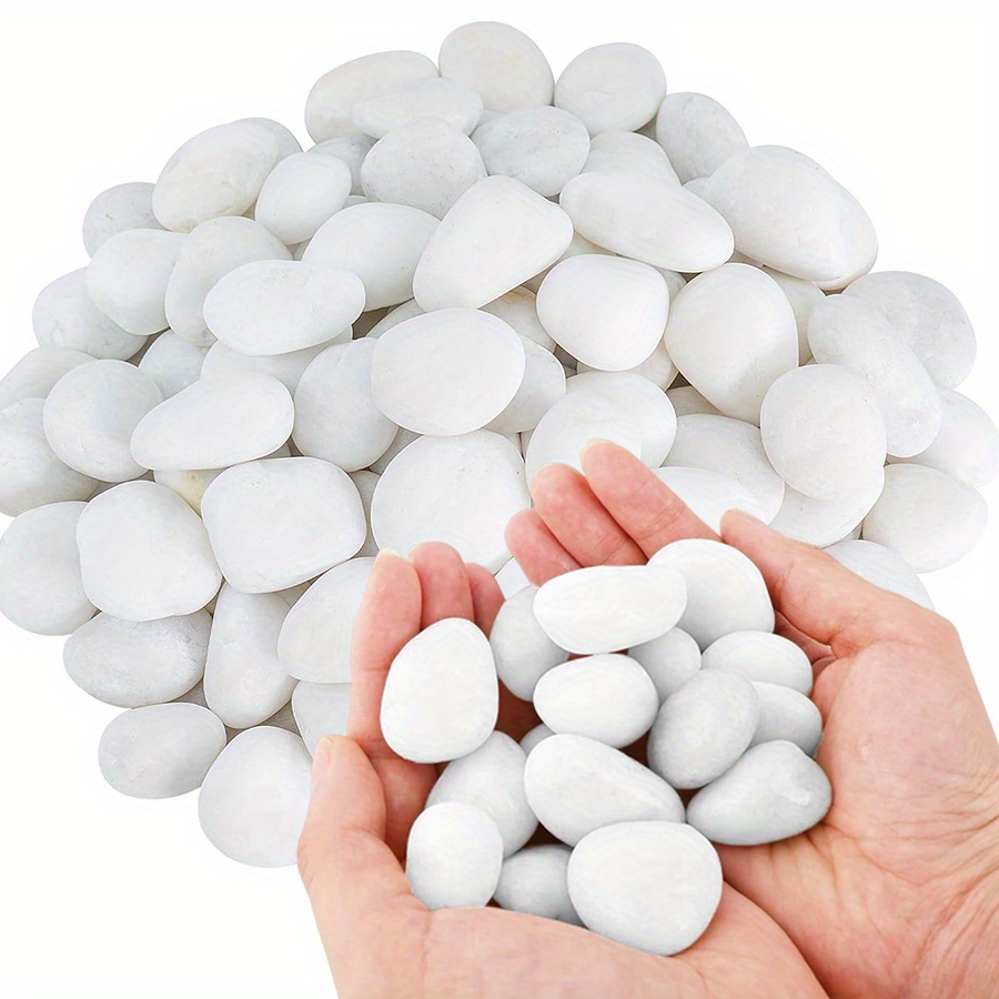 200/400g 흰색 고광택 천연 자갈 2-3cm 마당 - Aquarium Fish Gallery 리뷰 및 가격