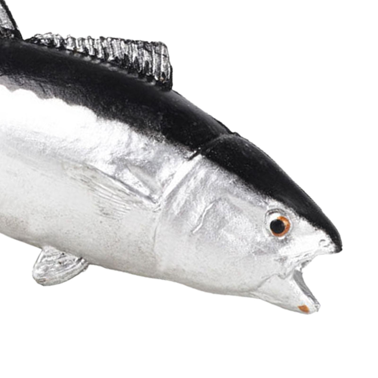 수족관 장식품 데스크탑 장식 어린이를위한 작은 교육용  - Aquarium Fish Small 리뷰 및 가격