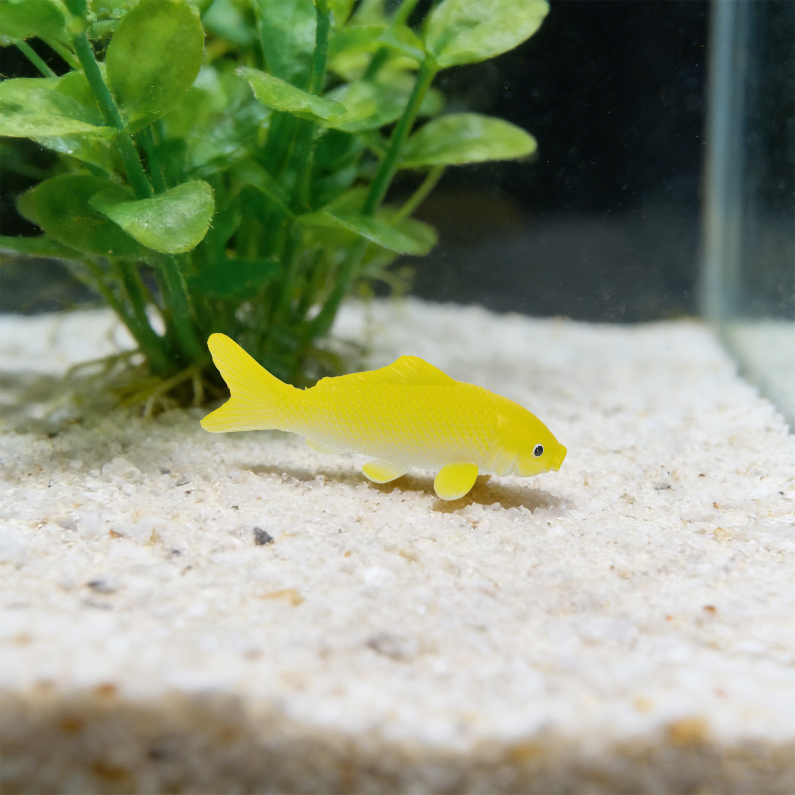 3pcs 물고기 공예 장난감 현실적인 플라스틱 물고기  - Aquarium Fish Pond 리뷰 및 가격