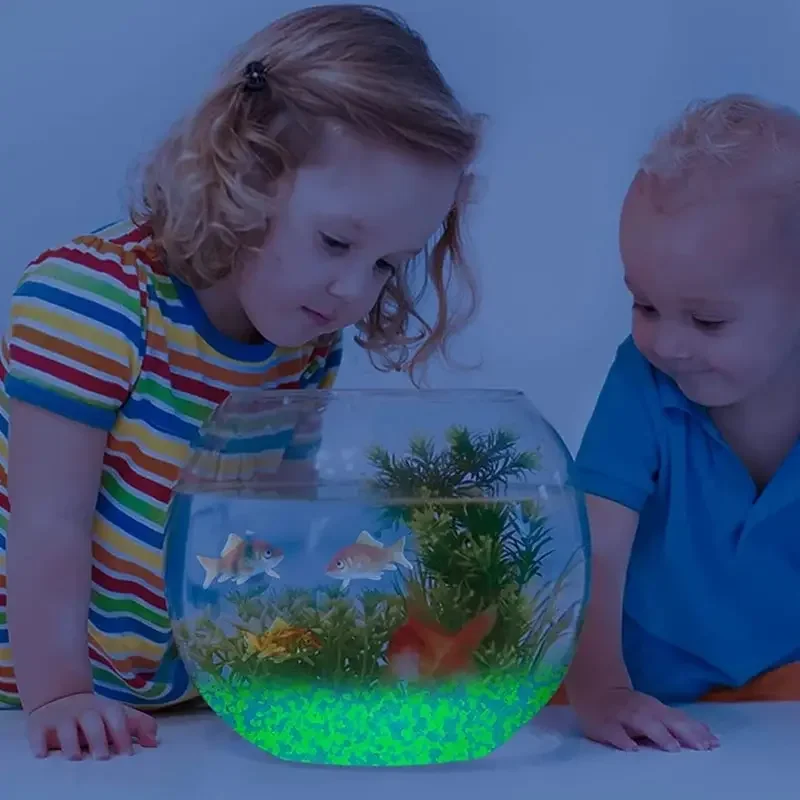 1000pcs 어두운 자갈 돌에 3-5mm 빛나는 모래 - Aquarium Fish Gallery 리뷰 및 가격