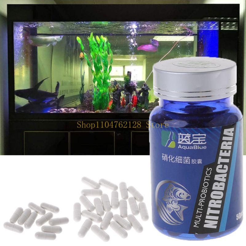질산화 박테리아 캡슐 고활성 생물학적 정화 안전하고 어 - Aquarium Fish Medicine 리뷰 및 가격