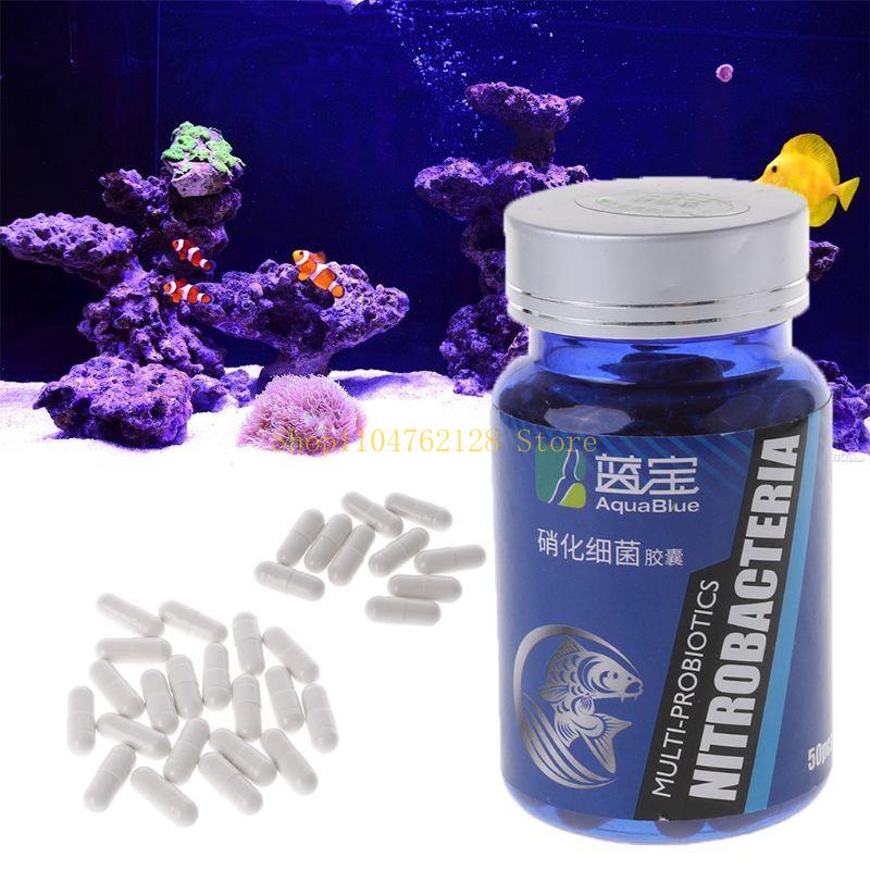 질산화 박테리아 캡슐 고활성 생물학적 정화 안전하고 어 - Aquarium Fish Medicine 리뷰 및 가격