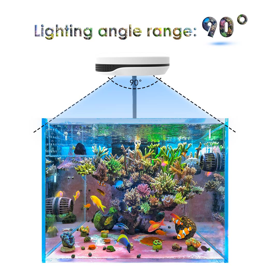 20W 스펙트라 SP20 AC110-240V 담수 리푸 - Refugium Light Nano 리뷰 및 가격