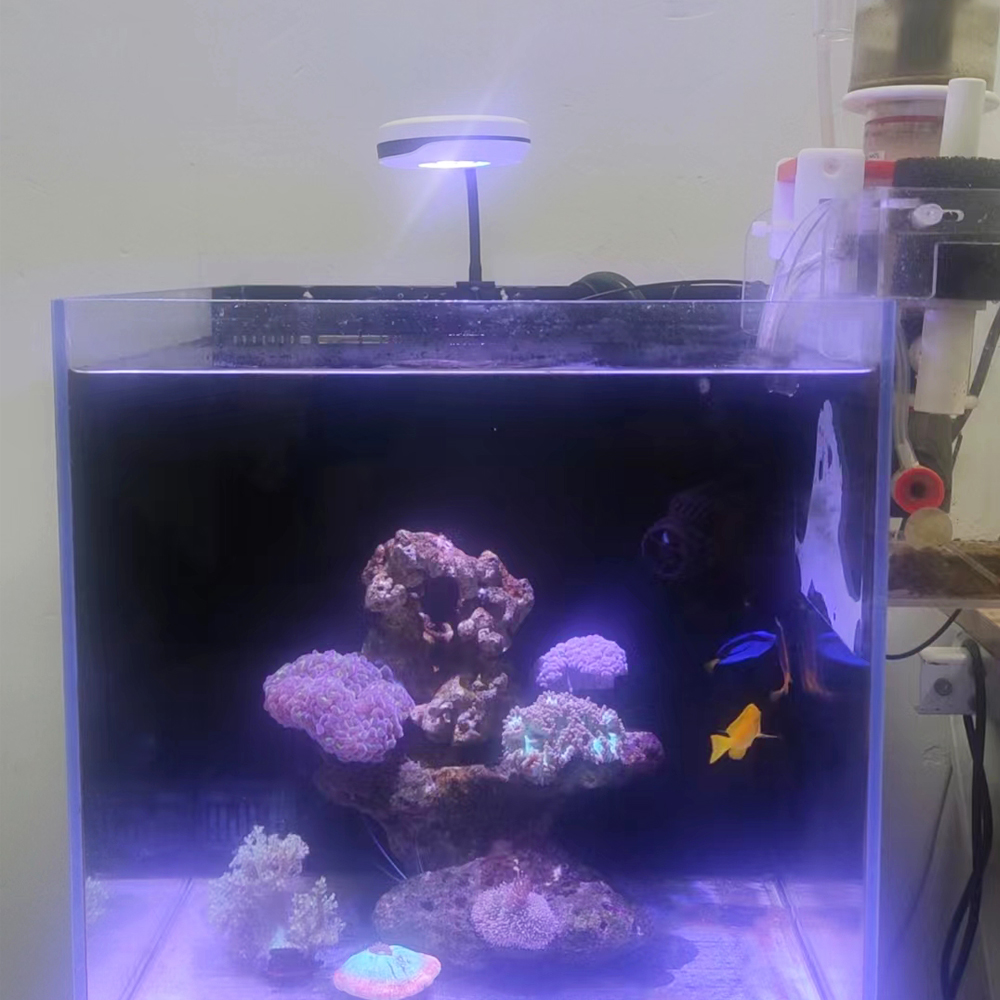20W 스펙트라 SP20 AC110-240V 담수 리푸 - Refugium Light Nano 리뷰 및 가격