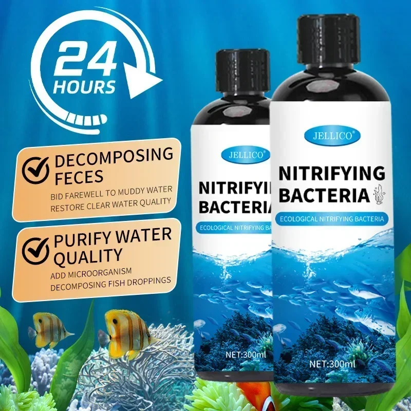 300ml 니트라이징 박테리아 액체 물고기 탱크 정수기 - Aquarium Fish Medicine 리뷰 및 가격