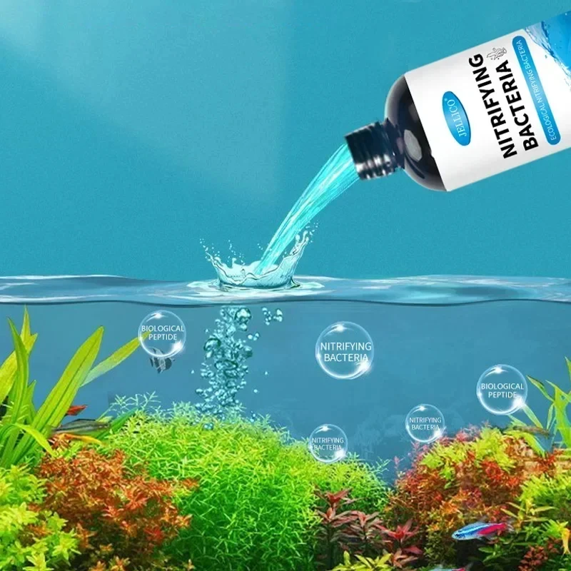 300ml 니트라이징 박테리아 액체 물고기 탱크 정수기 - Aquarium Fish Medicine 리뷰 및 가격