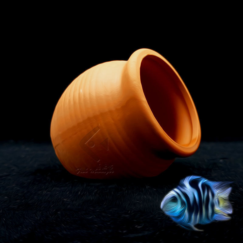 수족관 미니 세라믹 탱크 물고기 새우 집 둥지 산란 번 - Aquarium Fish Hideout 리뷰 및 가격