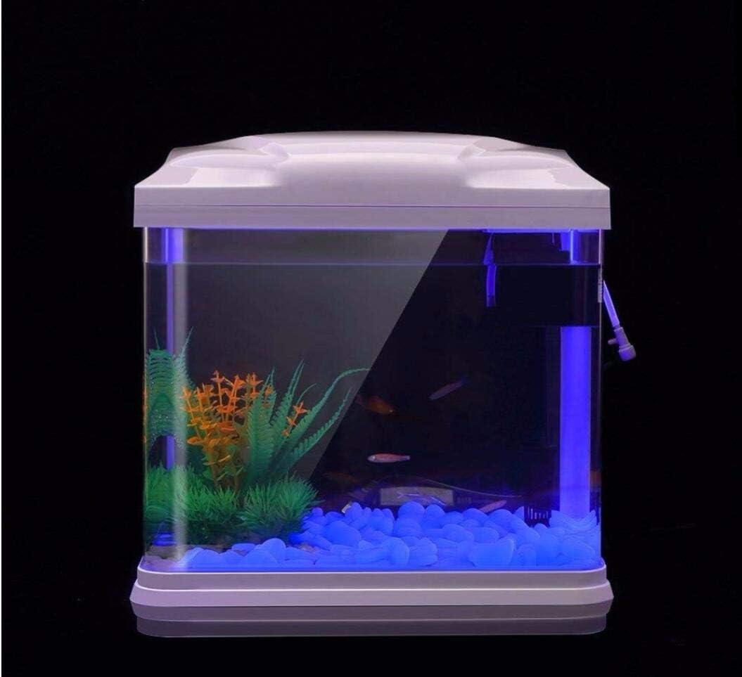 물고기 탱크 바위 정원 물고기 탱크 수족관 식물 냄비  - Aquarium Fish Gallery 리뷰 및 가격