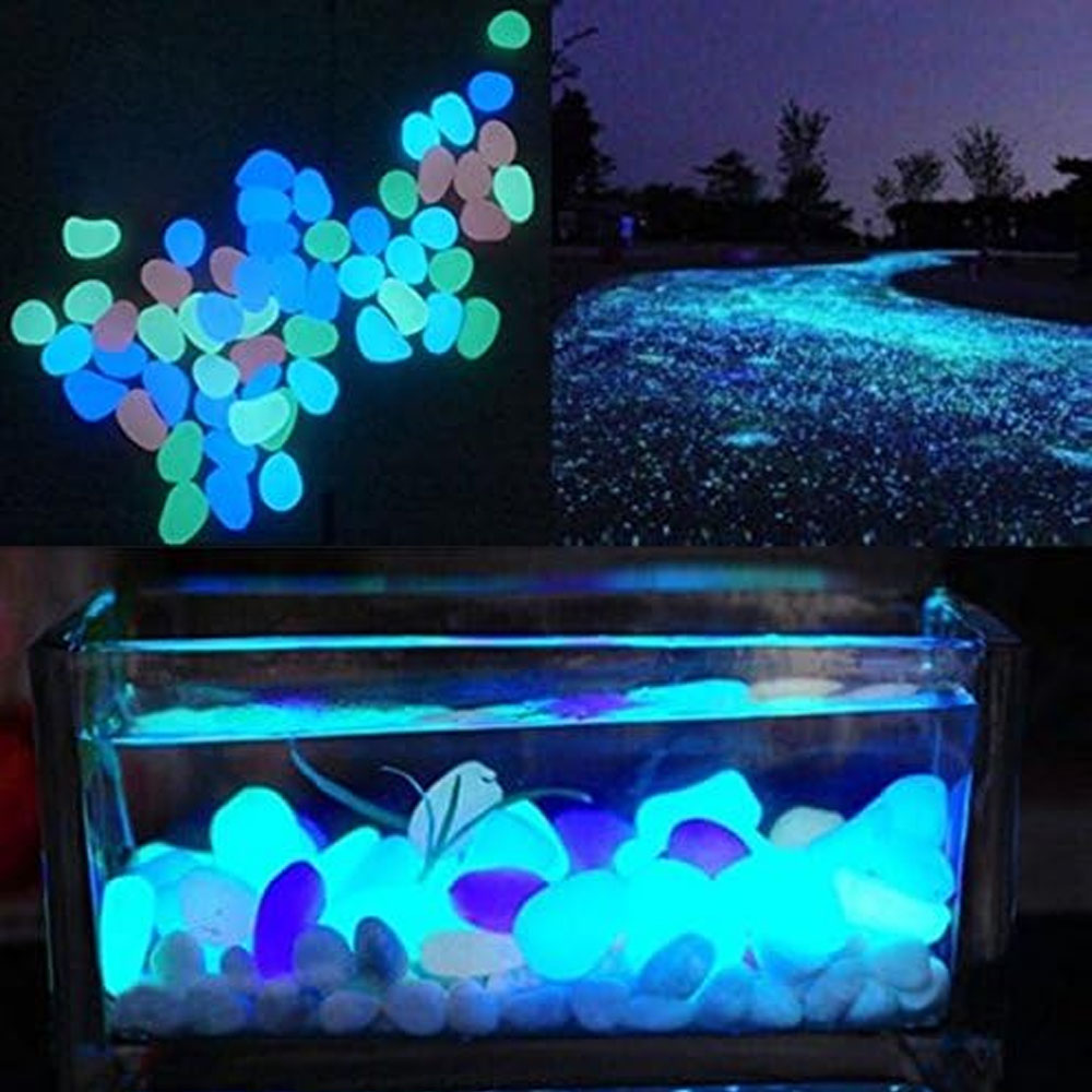 물고기 탱크 바위 정원 물고기 탱크 수족관 식물 냄비  - Aquarium Fish Gallery 리뷰 및 가격