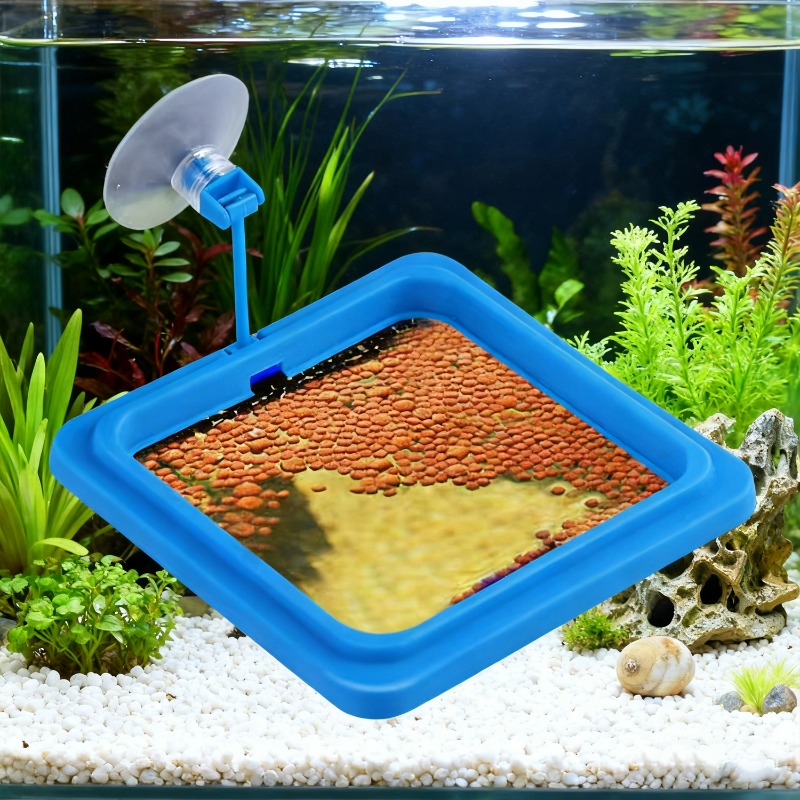 수족관 물고기 먹이 링 스테이션 플로팅 푸드 트레이 피 - Aquarium Fish Medicine 리뷰 및 가격