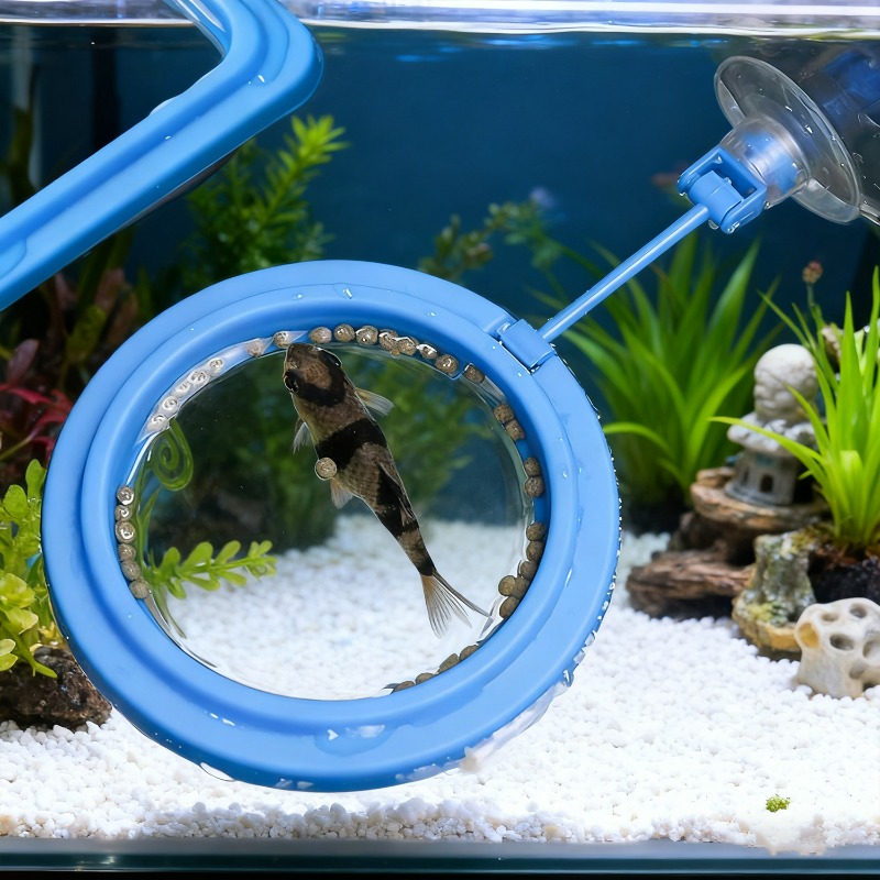 수족관 물고기 먹이 링 스테이션 플로팅 푸드 트레이 피 - Aquarium Fish Medicine 리뷰 및 가격